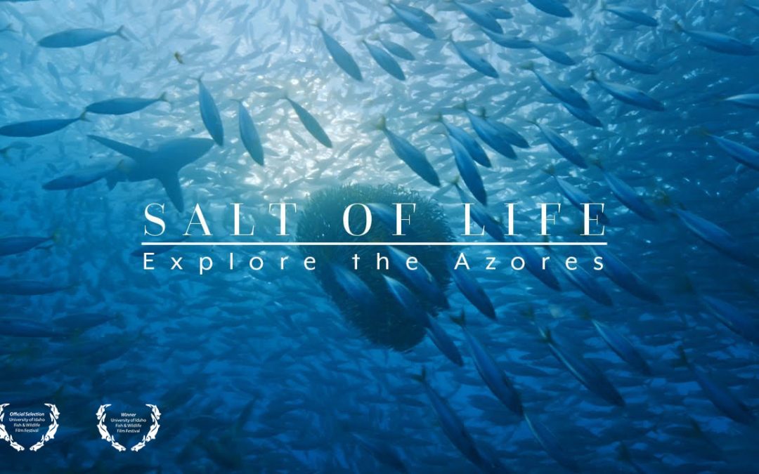 “Salt of Life – Explore the Azores” beim “Fish&Wildlife Filmfestival”